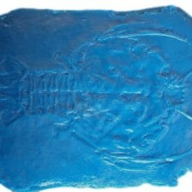 Fossilized-prehistoric-Lobster-accent-concrete-stamp
