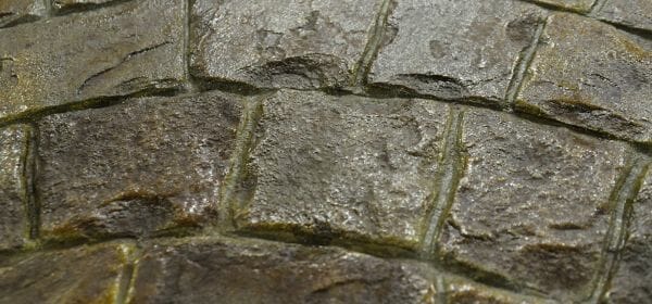 roman-fan-stamped-concrete-example-close-up-1